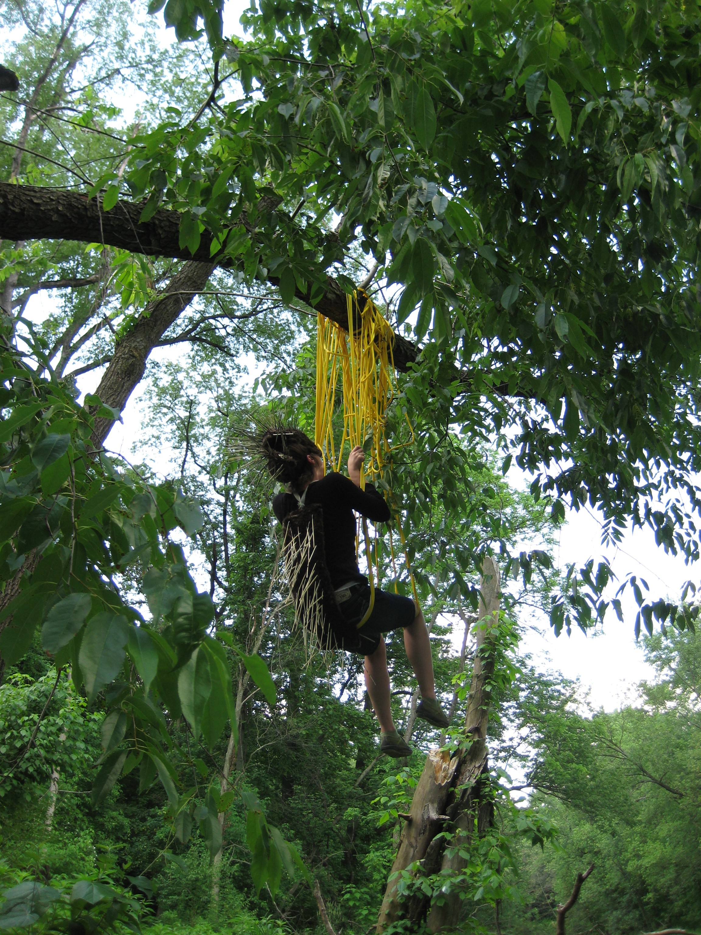 Porcupine Nest Building Exercise